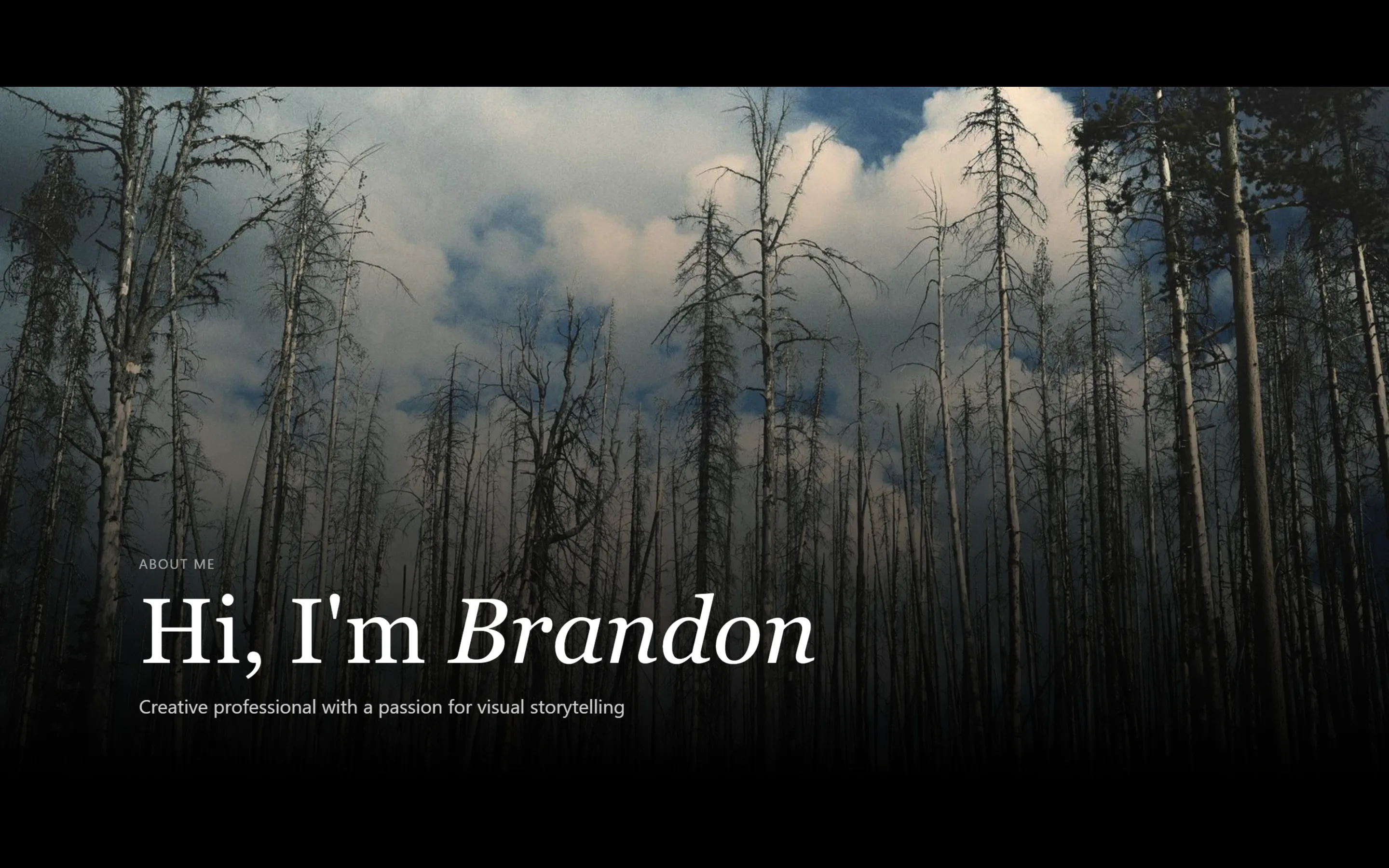 Brandon Bui about page — Hi, I’m Brandon, his background in his own words